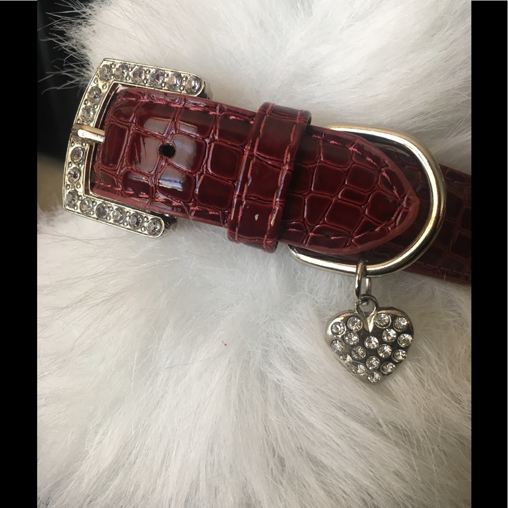 Statement Collar Croc Bling Hearts Med-Large